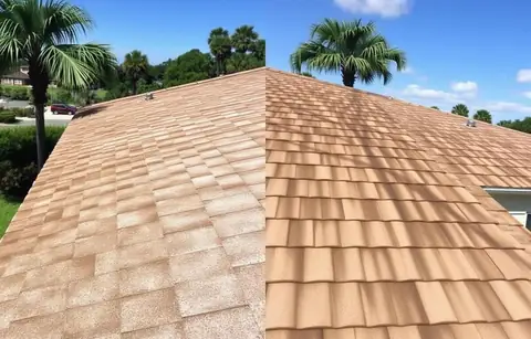 Soft Wash Roof Cleaning